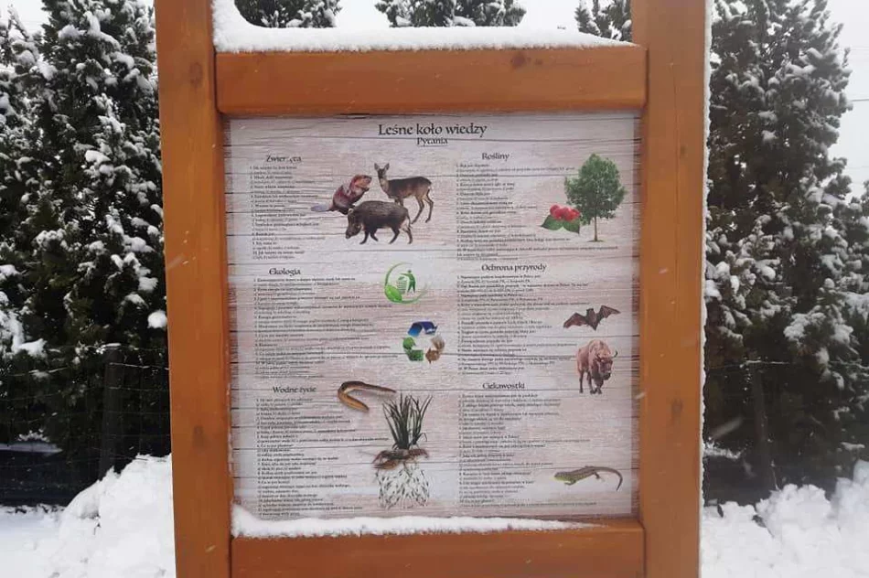 Szlak turystyczno-rekreacyjny powstał w Wysokiem - zdjęcie 8