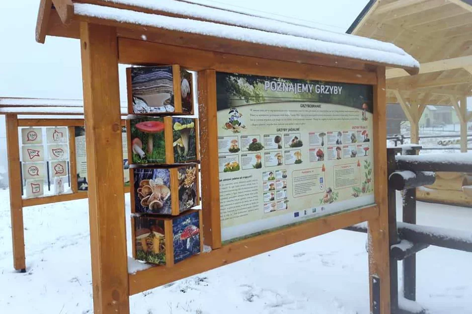 Szlak turystyczno-rekreacyjny powstał w Wysokiem - zdjęcie 14