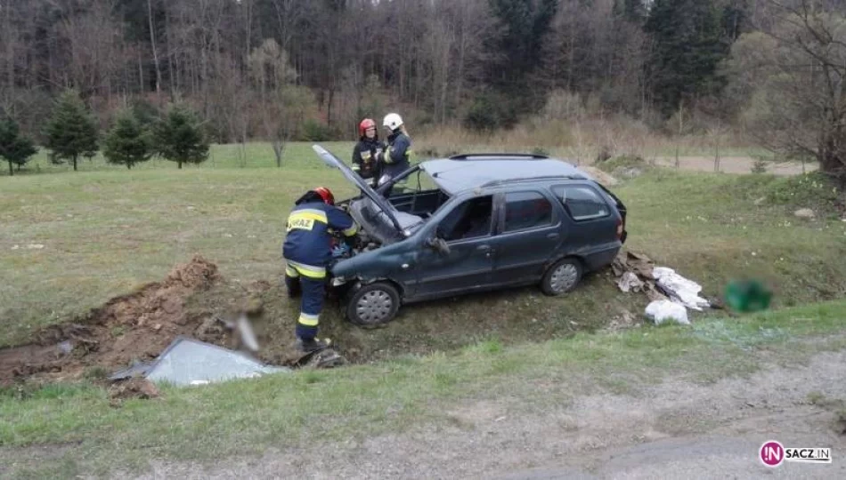 Samochód wypadł z drogi i wjechał do rowu - zdjęcie 1