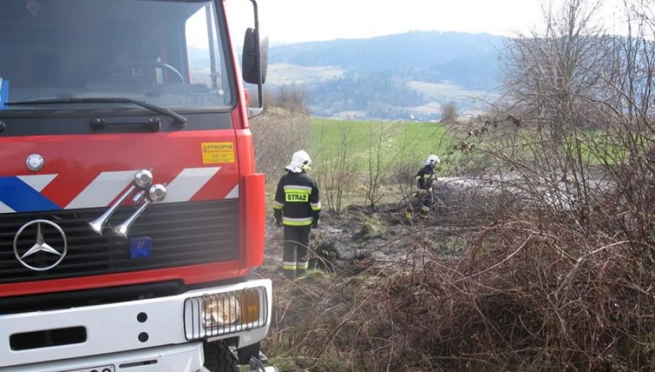 'Rzuć palenie' - zginęły już trzy osoby - zdjęcie 1