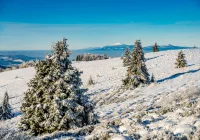Orientacyjna prognoza pogody na najbliższy tydzień - zdjęcie główne