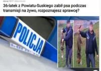 Uwaga na fałszywe strony internetowe - zdjęcie główne