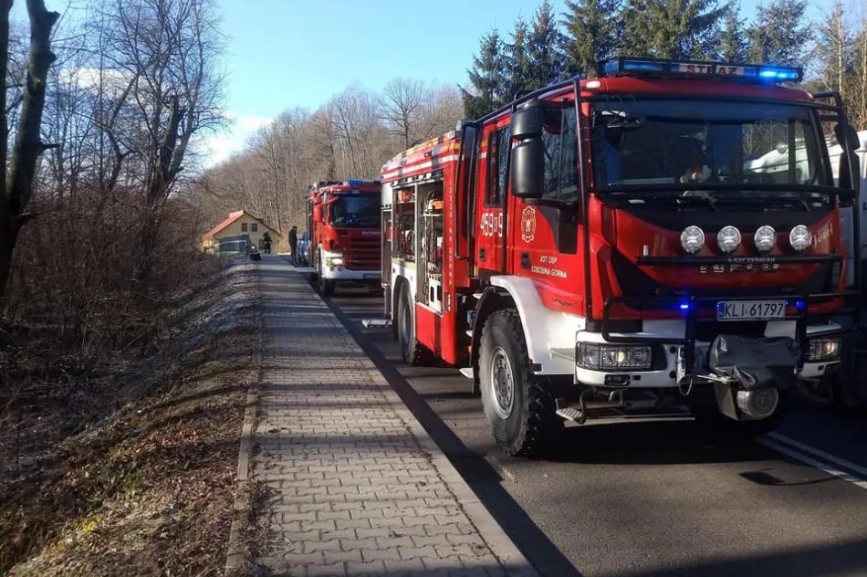 Samochód wypadł z drogi i dachował - zdjęcie 3