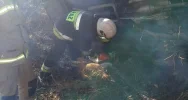 Samochód wypadł z drogi i dachował - zdjęcie 4