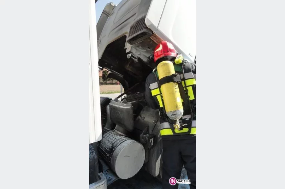 Płonął samochód ciężarowy - zdjęcie 3