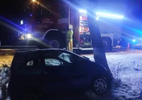 Pojazd uderzył w drzewo, kierująca pouczona przez policjantów - zdjęcie główne