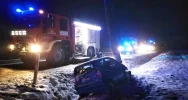 Pojazd uderzył w drzewo, kierująca pouczona przez policjantów - zdjęcie 2
