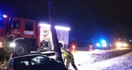 Pojazd uderzył w drzewo, kierująca pouczona przez policjantów - zdjęcie 3