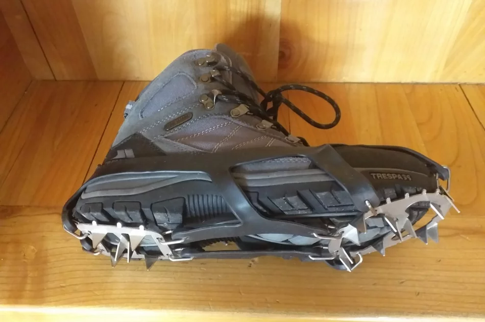 Raki turystyczne - zdjęcie 2