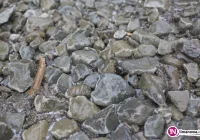 IMiGW ostrzega: przymrozki i oblodzenia - zdjęcie główne