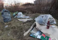 Zebrali z brzegów rzeki 14 m3 śmieci  - czy coś się zmieni? - zdjęcie główne