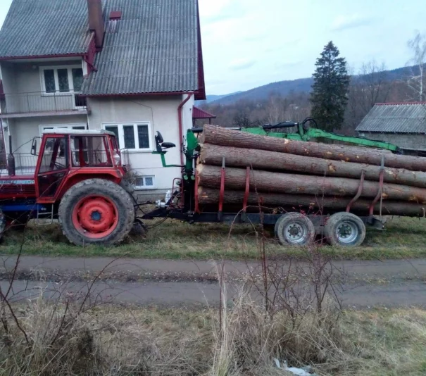 Zrywka Drzew Skup drzewa - Zdjęcie główne