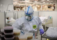 W Małopolsce pierwszy potwierdzony przypadek brytyjskiej odmiany koronawirusa w kraju - zdjęcie główne