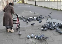 Sejm uchwalił ustawę w sprawie czternastej emerytury - zdjęcie główne