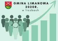 Gmina Limanowa w statystykach za 2020 r. - zdjęcie główne