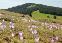Otwarty pokaz filmu z okazji jubileuszu - zdjęcie główne