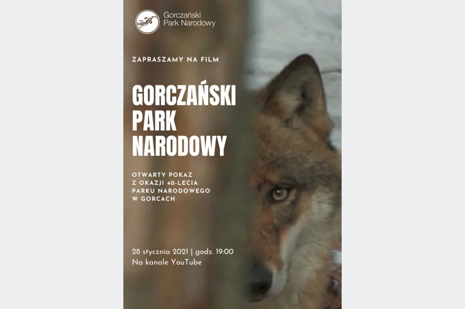 Otwarty pokaz filmu z okazji jubileuszu - zdjęcie 2