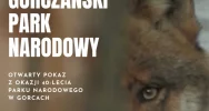 Otwarty pokaz filmu z okazji jubileuszu - zdjęcie 2