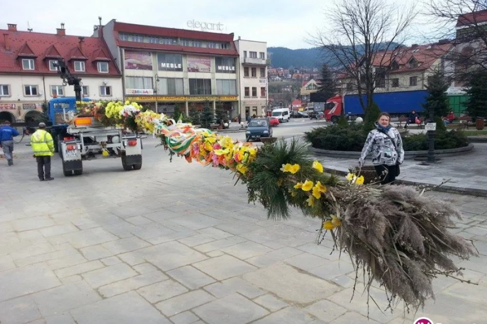 22-metrowa palma stanęła na Rynku - zdjęcie 2