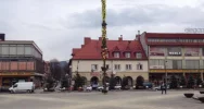 22-metrowa palma stanęła na Rynku - zdjęcie 3