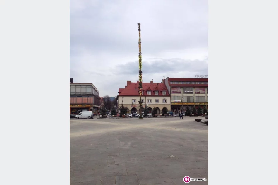 22-metrowa palma stanęła na Rynku - zdjęcie 3