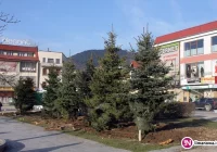 Zmiana na Rynku kosztowała 27 tys. zł - zdjęcie główne