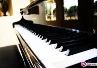 Sukcesy uczniów PSM w Limanowej w ogólnopolskich konkursach - zdjęcie główne