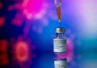 Naukowcy: aby zatrzymać Covid-19 konieczne może być szczepienie... zwierząt - zdjęcie główne