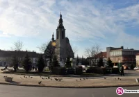 Rynek z nowymi świerkami - zdjęcie główne