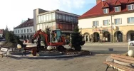 Rynek z nowymi świerkami - zdjęcie 3