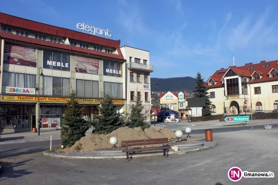 Rynek z nowymi świerkami - zdjęcie 4