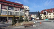 Rynek z nowymi świerkami - zdjęcie 4