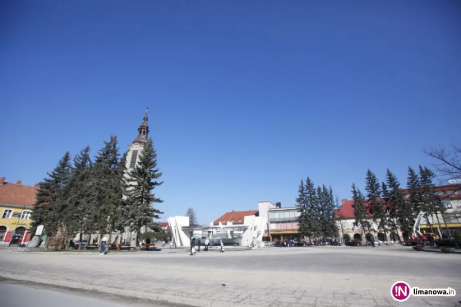 W Rynku ruszyła wycinka drzew - zdjęcie 2