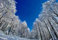 Orientacyjna synoptyczna prognoza pogody na pierwszy tydzień lutego - zdjęcie główne