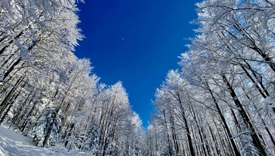 Orientacyjna synoptyczna prognoza pogody na pierwszy tydzień lutego - zdjęcie 1