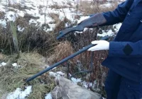 Policja zatrzymała podejrzanego o strzelanie do psa uwięzionego we wnykach - zdjęcie główne