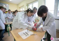 Biologia w liceum prosto z uczelni - zdjęcie główne