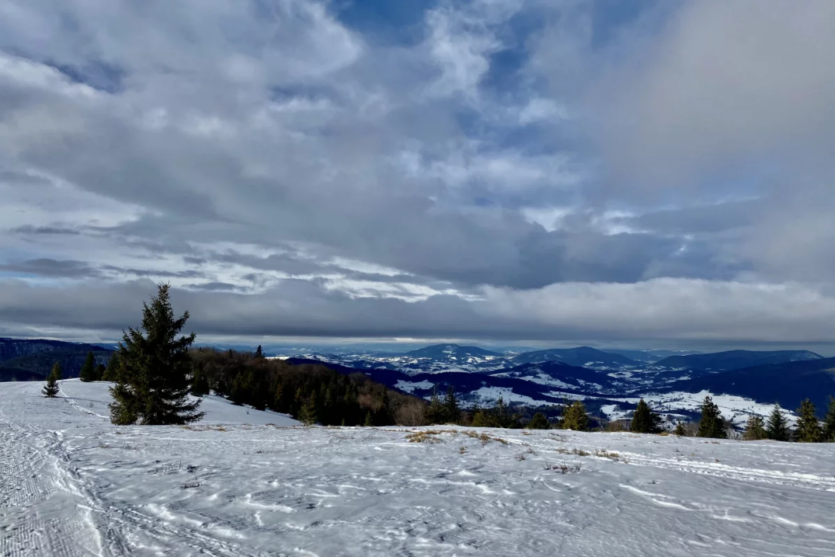 Ostrzeżenie meteorologiczne: halny. Według meteorologów w lutym czekają nas dwie fale mrozu