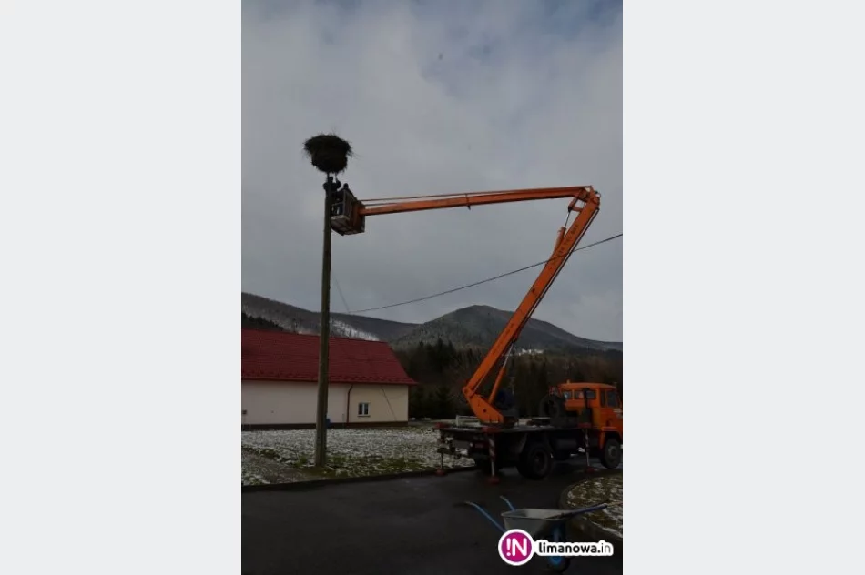 Urząd na ratunek bocianiej rodzinie... - zdjęcie 3