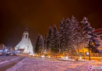 Z Rynku zostaną wycięte świerki. Później rewitalizacja - zdjęcie główne