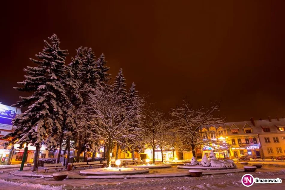 Z Rynku zostaną wycięte świerki. Później rewitalizacja - zdjęcie 2