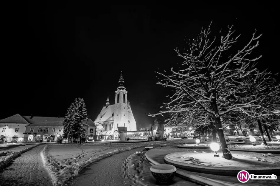 Z Rynku zostaną wycięte świerki. Później rewitalizacja - zdjęcie 3