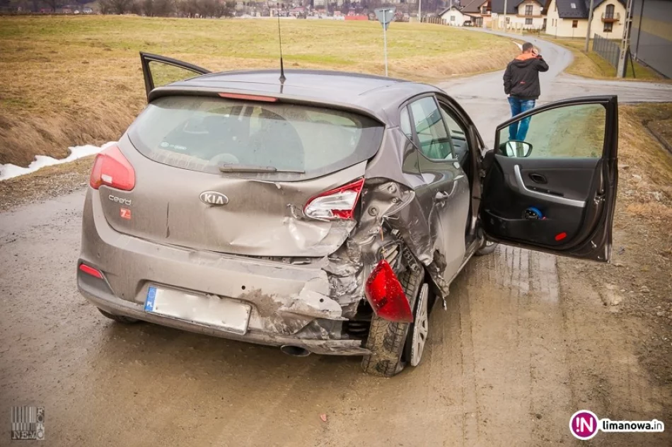 Sprawca kolizji z radiowozem ukarany mandatem - zdjęcie 2