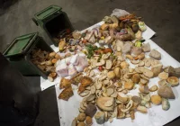 W Polsce rocznie marnuje się ok. 9 mln ton żywności - zdjęcie główne