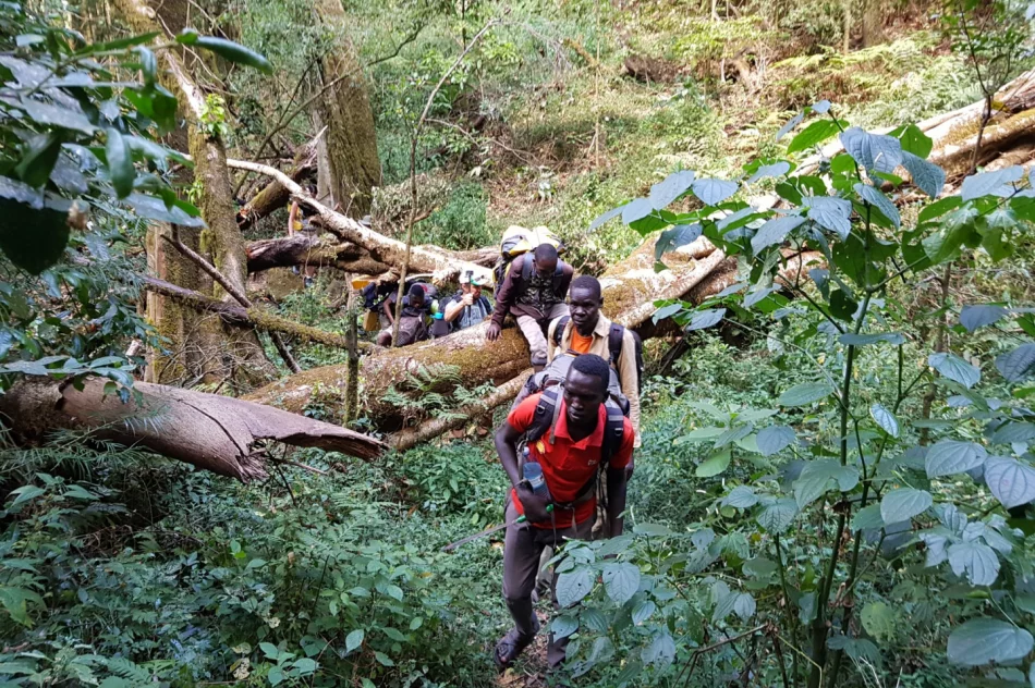 Podróżnik z Limanowszczyzny wytyczył pierwszy szlak w ugandyjskich górach - zdjęcie 2