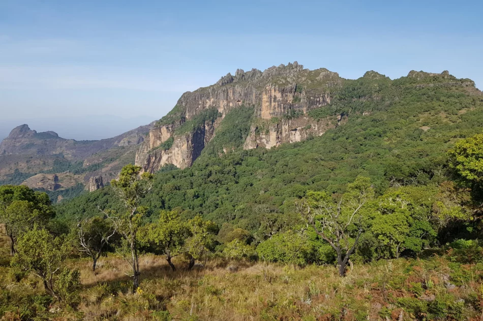 Podróżnik z Limanowszczyzny wytyczył pierwszy szlak w ugandyjskich górach - zdjęcie 3