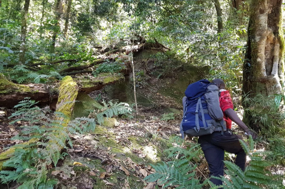 Podróżnik z Limanowszczyzny wytyczył pierwszy szlak w ugandyjskich górach - zdjęcie 6