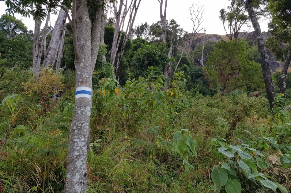 Podróżnik z Limanowszczyzny wytyczył pierwszy szlak w ugandyjskich górach - zdjęcie 7