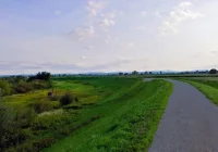 Z Limanowszczyzny do Puszczy Niepołomickiej na rowerze - zdjęcie główne