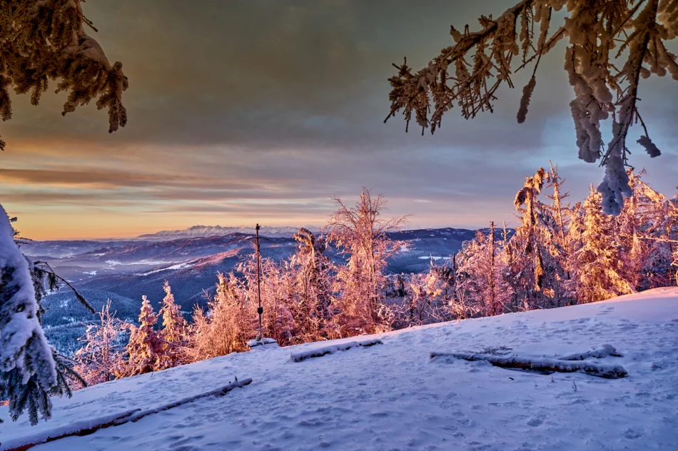 Zjawiskowy poranek w Beskidzie Wyspowym - zdjęcie 12